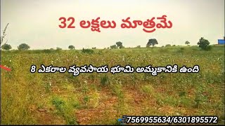 8 Acer Agriculture Land For Sale in Telangana || Very Low Price || Clear Title