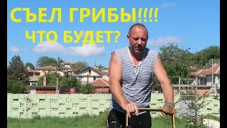 Съел грибы)))) Что будет?