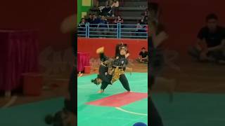 Pencak Silat Ganda Putri Indonesia🇮🇩🔥 #pencaksilat #smifighter #martialarts #pesilat #silat