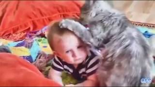 Baby and the cat