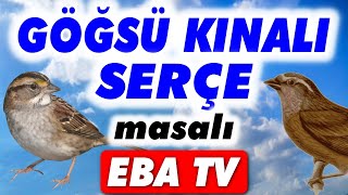 Göğsü Kınalı Serçe Masalı - EBA TV 1.Sınıf Göğsü Kınalı Serçe Masalı dinle - Eba tv İlkokul