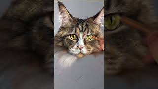 Here is the process of drawing Mila the Maine Coon cat 🐈🥰