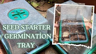 How to Start Seeds: Tips & Tricks for Seed Starting Success