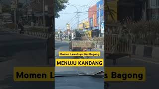 Perjalanan Dengan Bus Bagong #bisbagong