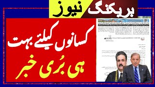 Today sugar price in punjab//گندم کا ریٹ 2024/munji makki till sarso | Urea rates increased