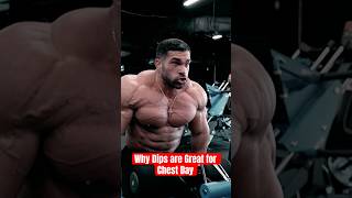 Why Dips are great for Chest Day #hanyrambod #evogennutrition @dereklunsford_