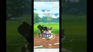 My Opponent switch to mirror hypno and he left! 🤓 (Pokemon Go Kanto Cup)