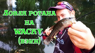 Ловля РОТАНА на WACKY (ВЭКИ)