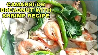 Gawin Mo Ito sa Camansi || NAPAKASARAP NITO|| CAMANSI OR BREADNUT RECIPE