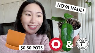 Mini Hoya Haul | $0.50 Target Dollar Spot Pots | Plant Shopping at Family Tree Nursery