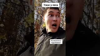 Ужас у леса (детям) #ужас #лес #дети