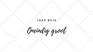 Joke Buis | Oneindig groot