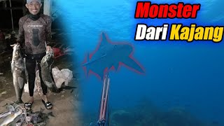 SPEARFISHING, Berburu PREDATOR Bawah Laut di Kajang !!!