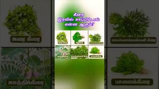 இரவில் கீரை சாப்பிட கூடாது? #healthtips #health #tamil #shortsfeed #trendingvideo #viral #viralvideo