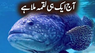 Aj Ak Luqma Hi Mila | Hazrat Sulaiman As Ka Waqia | Islamic Story | Fiza Voice