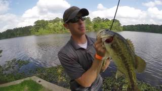 Angry Bass Eats Swimbait