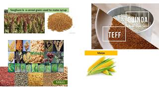 Conventional and Sustainable Crop Production Systems Part 1 RECORDING