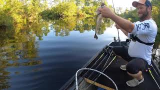 We Caught Sooo MANY of THESE! #fishing #subscribe #youtube #outdoors