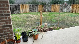 Full Winter Garden Tour! 😱🌱