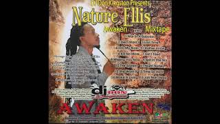 Dj Don Kingston Presents Nature Ellis Awaken Mixtape