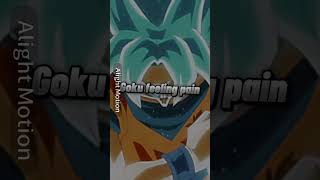 Gokus pain