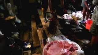 Siberian Moose  Butchering and Sanitation techniques