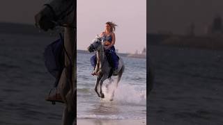 Beach horse riding dubai #horseridding #horselover #equestrian #horserider