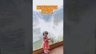 لما ربنا يحب ينجى عبده ينجي من اى شئ لا اله الا الله