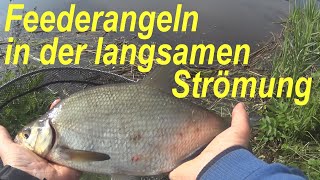 Feederangeln in langsamer Strömung | Feedern im kleinen Fluss | Guiding Leitfaden zur Montage