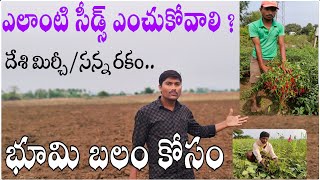 ఎలాంటి సీడ్స్ ఎంచుకోవాలి |భూమి బలం కోసం| మిరప సాగు రైతులు దుక్కి దశ నుండే మిరప సీడ్స్ ఎంచుకోవాలి