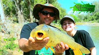 This little mountain stream is LOADED WITH HUGE FISH!!