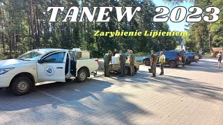 Tanew 2023 - Zarybienie Lipieniem