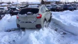 Mike Jones Crosstrek 20" snow