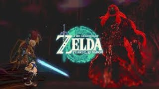 Lezend of Zelda Breath of the wild | 4k 60fps | Part 13