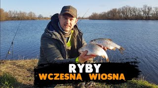 ŁOWIMY RYBY wczesną wiosną /Jaka metoda na duże płocie ? SPŁAWIK -FEEDER - GRUNT