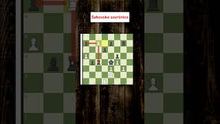 Šahovske završnice - vrhunska taktika odvlačenja topa posle čega sledi mat #chess #endgame