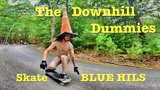 Downhill Dummies Skate Blue Hills 2.0 2021