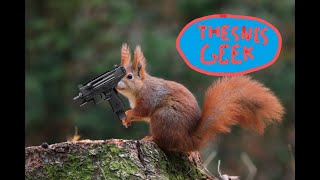 Squirrel with a gun - The snes geek