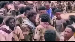 Eritrean Defense Forces (EDF) ጅግና ሓይልታት ምክልኻል ኤርትራ!! #Eritrea #Eritrean #EritreaPrevails #Peace #Eri