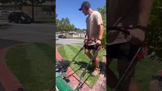 Lots of hard work on the front lawn, finally worthy of getting the tripod out!