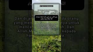 Al Qur'an Surah Al Baqarah Ayat 207 #shorts