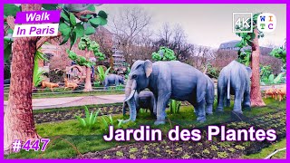 Jungle in the Jardin des Plantes (Garden of plants), Paris, France | Walk In Paris | Paris walk