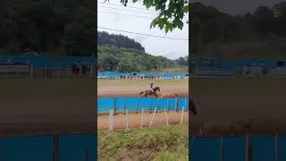 Nossa primeira vez em um Rodeio Crioulo. Nesse vídeo contamos um pouco sobre nossa experiência!