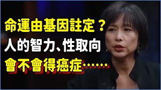 命運由基因註定？人的智力、性取向乃至於會不會得癌症，在你出生時基因就決定好了？#talkshow #圆桌派 #窦文涛 #脱口秀 #真人秀 #圆桌派第七季 #马未都