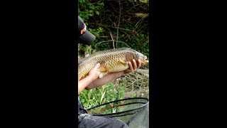 When the carp hits back | Carp Fishing | Carp Fun