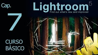 Adobe Lightroom 5, Uso de accesos directos de la intefaz, Curso basico español cap 7