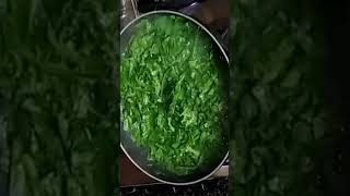 Without Onion Garlic Palak Paneer Recipe // Shorts //Youtubeshorts // Veg Food - Odia