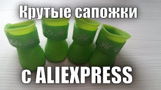 Второй комплект сапожек для собачки с Алиэкспресс