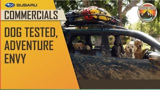 Adventure Subaru | Subaru - 2022 Dog Tested, Adventure Envy