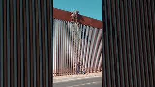 Border Patrol in Action Calexico Ca